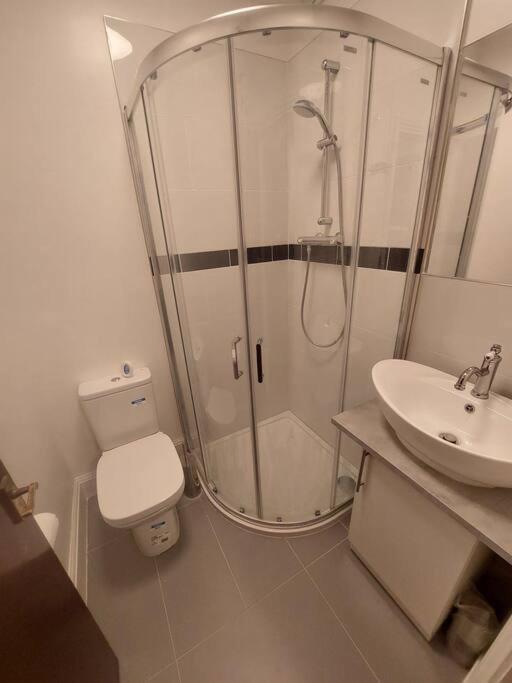 Newly Refurbished Studio 런던 외부 사진